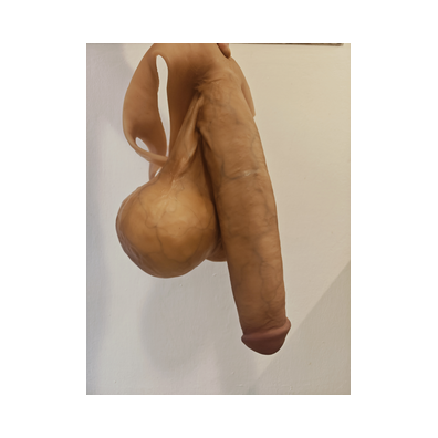 beautiful long penis with testicles 3