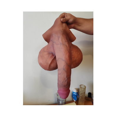 Flaccid penis code 1017 c