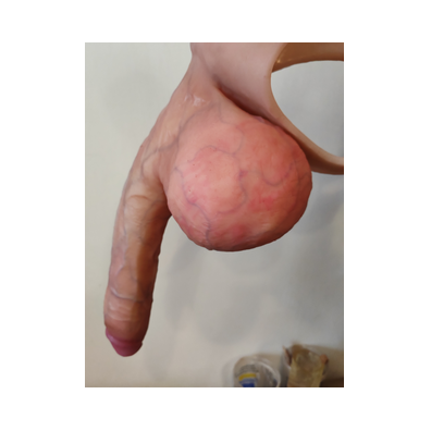 Flaccid penis code 1030 d